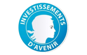 investissements-avenir