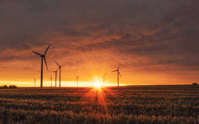 8 nouveaux appels à projets  en faveur de la transition écologique et énergétique