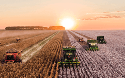 Soutien en faveur de l’innovation agricole