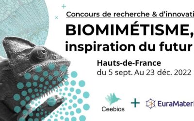Biomimétisme – Inspiration du futur