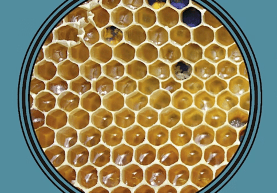 Conférence : BIOMIMÉTISME ET MATÉRIAUX – ENJEUX ET OPPORTUNITÉS