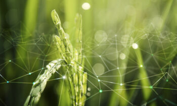 Bioeconomy For Change : un acteur clé pour les projets européens en bioéconomie