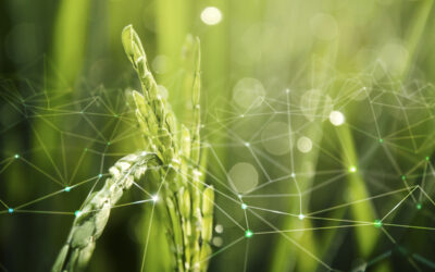 Bioeconomy For Change : un acteur clé pour les projets européens en bioéconomie