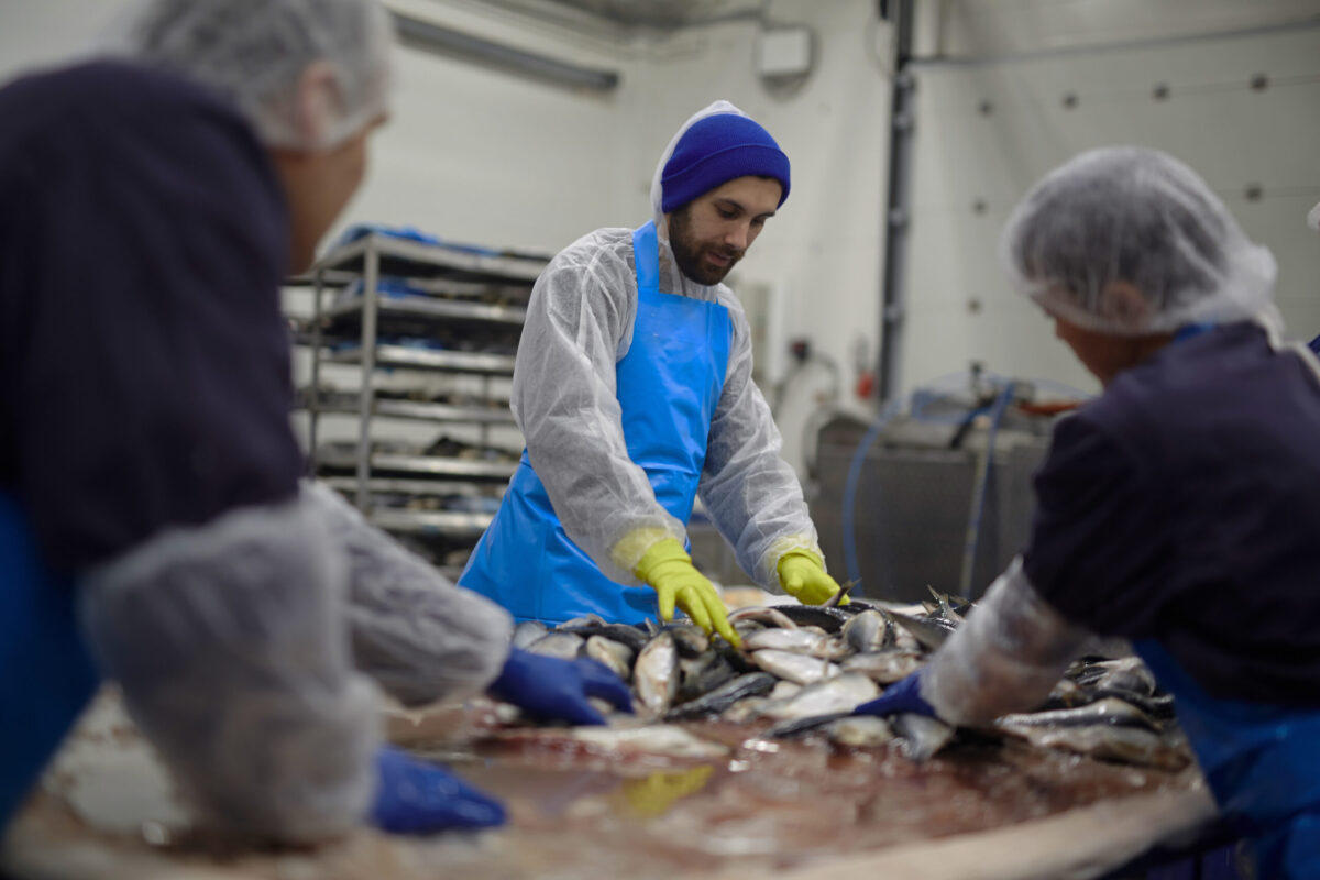 Aquimer, le pôle de compétitivité spécialisé dans les produits aquatiques