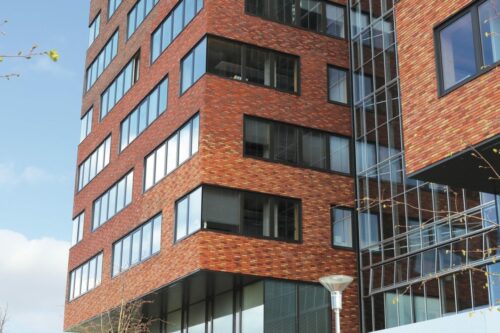 Quand la brique devient numérique : la transformation digitale de Briqueterie du Nord
