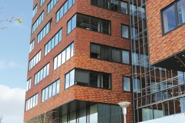 Quand la brique devient numérique : la transformation digitale de Briqueterie du Nord